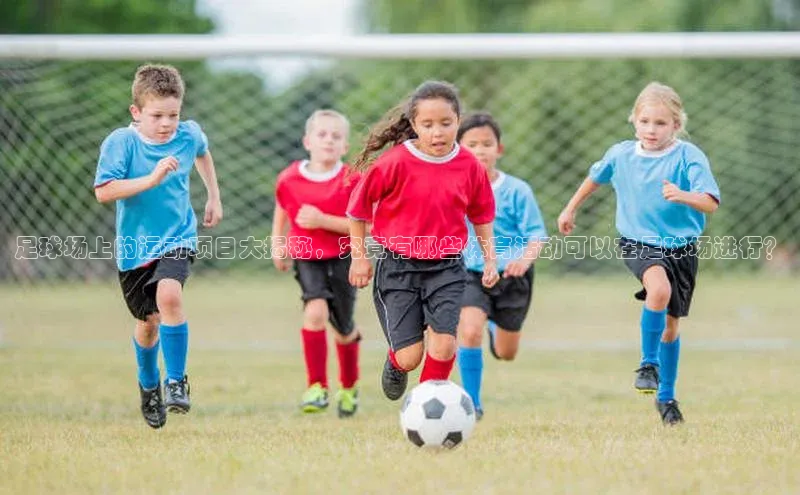 ng娱乐电子游戏官网度小满支付足球场上的运动项目大揭秘，究竟有哪些体育活动可以在足球场进行？