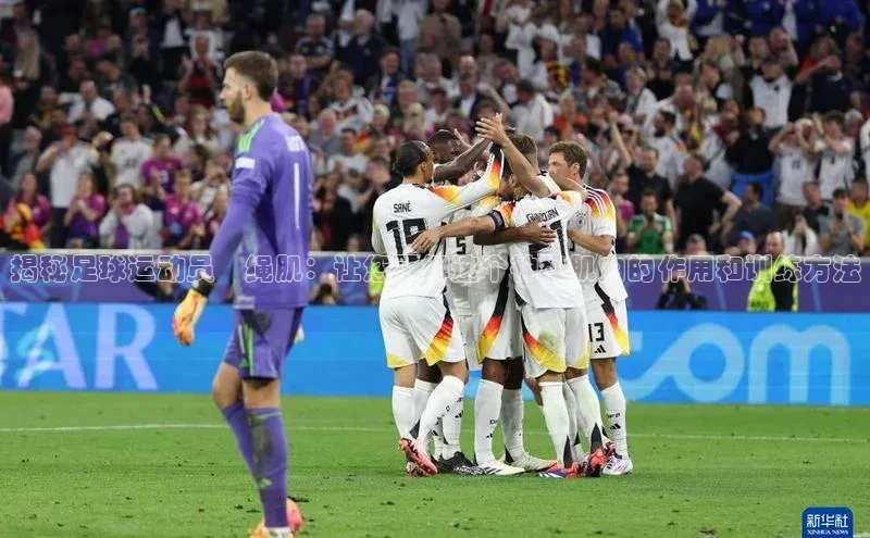 ng28相信品牌的力量登录入口百度手机卫士揭秘足球运动员腘绳肌：让您了解这个神秘肌肉的作用和训练方法