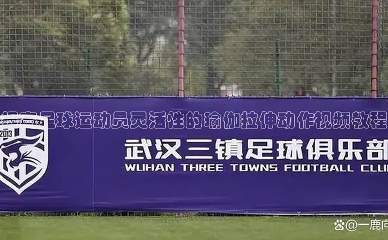 南宫ng28官网入口最新版本小米提高足球运动员灵活性的瑜伽拉伸动作视频教程