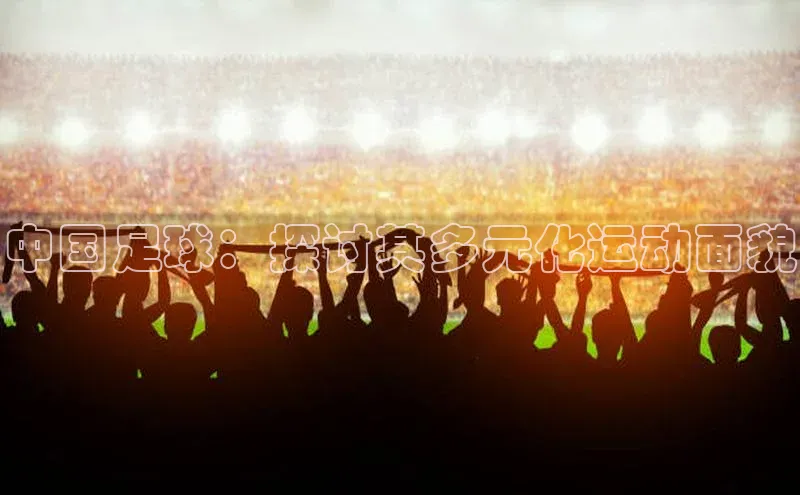 NG.28.66百度智能门户中国足球：探讨其多元化运动面貌
