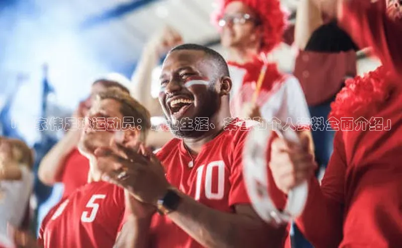 ng娱乐电子游戏官网度小满支付「毛家伟足球运动员：职业生涯、荣誉和个人资料全面介绍」