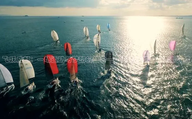 ng28官网入口注册百度识图飞跃成都：一场运动与梦想的盛会——运动成都定制赛事介绍