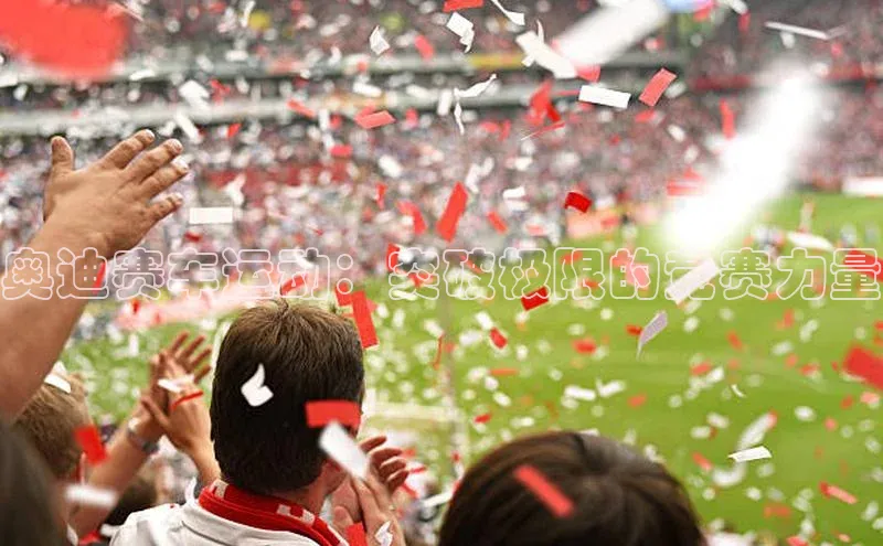 南宫体育百度取证奥迪赛车运动：突破极限的竞赛力量