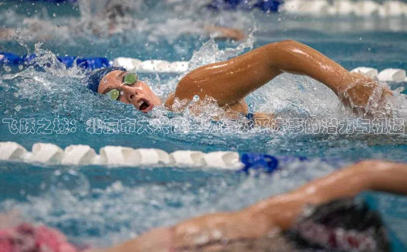 飞跃之城：北京市大兴区举办高水平赛事的潜力与机遇