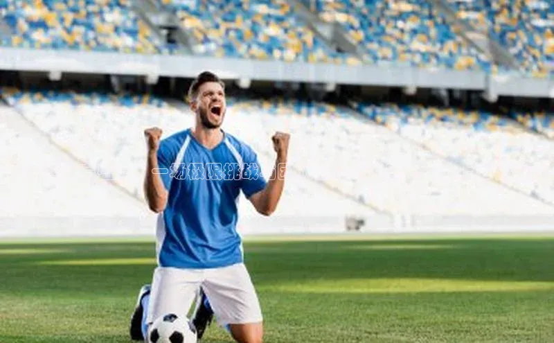 罕见的体育盛宴：一场极限挑战与团队协作的盛宴——冰上曲棍球赛