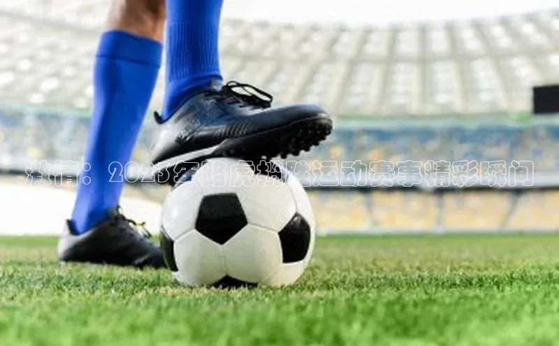 激情：2023年路虎揽胜运动赛事精彩瞬间