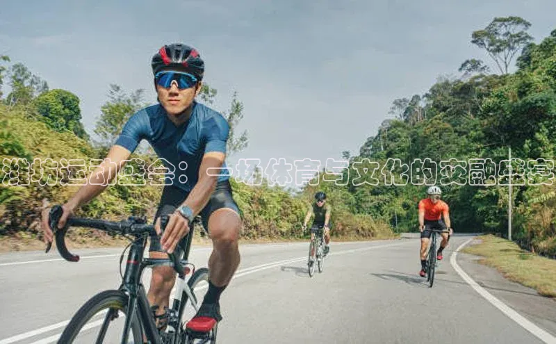 潍坊运动盛会：一场体育与文化的交融盛宴