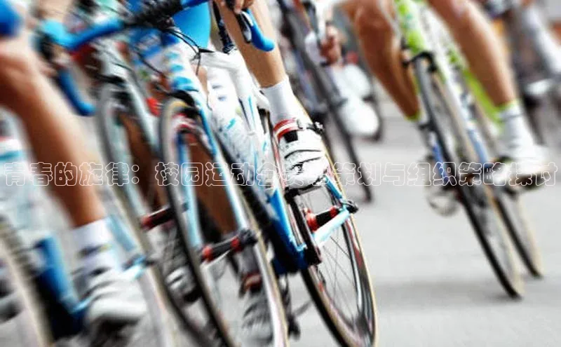 青春的旋律：校园运动会赛事策划与组织策略探讨