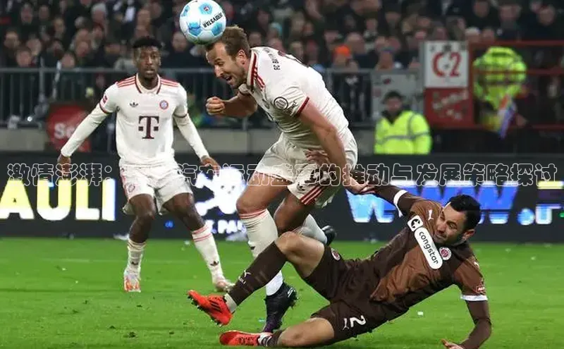 激情澎湃：宁夏汽车运动盛事的推动与发展策略探讨