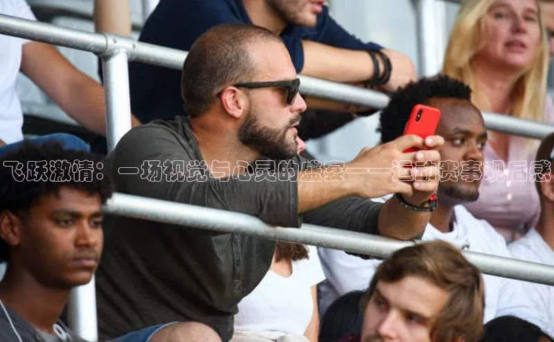 飞跃激情：一场视觉与心灵的盛宴——运动赛事观后感