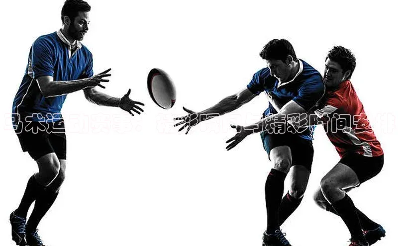 马术运动赛事：精彩瞬间与精彩时间安排