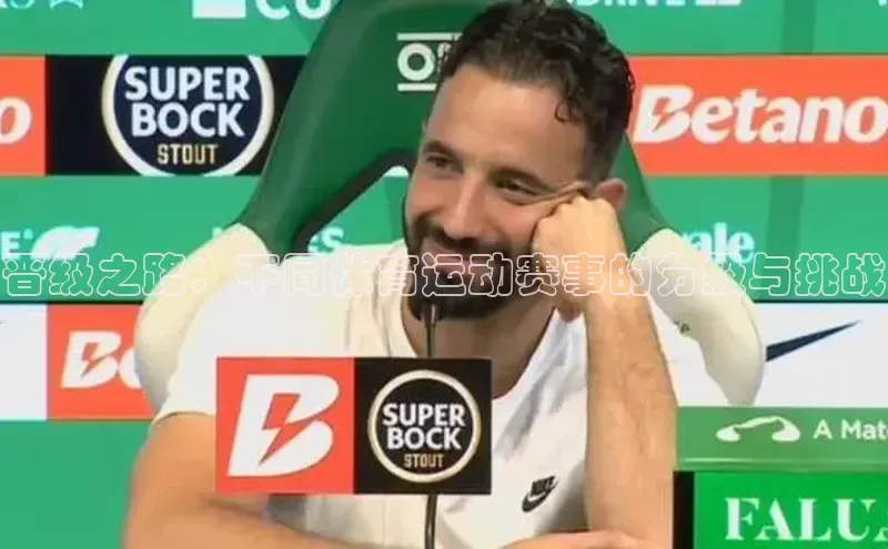 晋级之路：不同体育运动赛事的分级与挑战