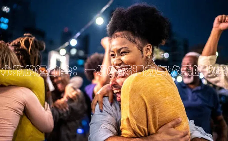 小狗的运动会：一场充满活力与欢乐的比赛