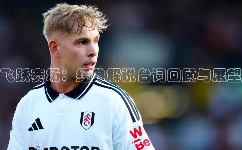 飞跃赛场：经典解说台词回顾与展望