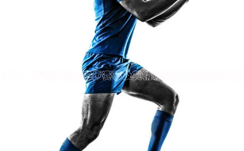 全球：不同类型的跑步赛事及其精彩纷呈的运动员队伍