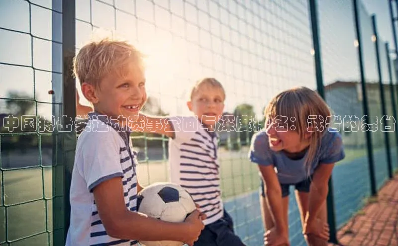 中国搏击类运动赛事全面与深度排名：武者的舞台