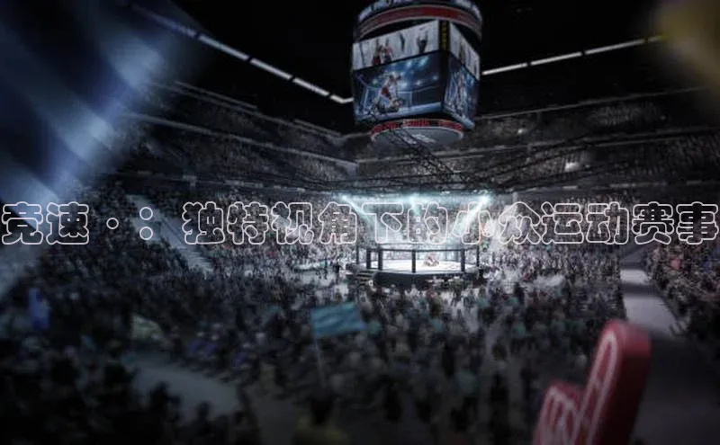 竞速·：独特视角下的小众运动赛事