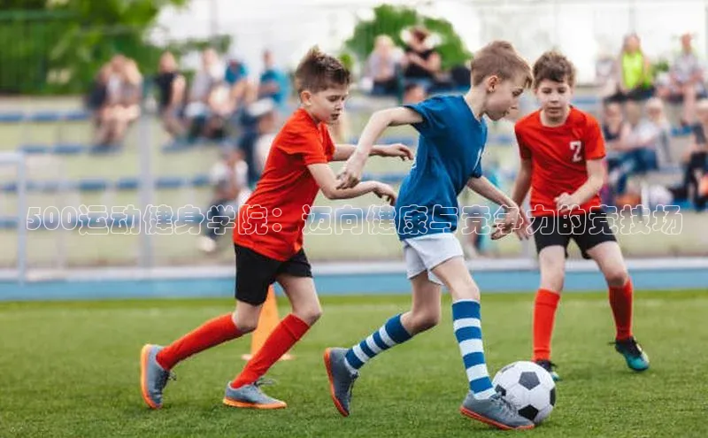 500运动健身学院：迈向健康与竞争力的竞技场