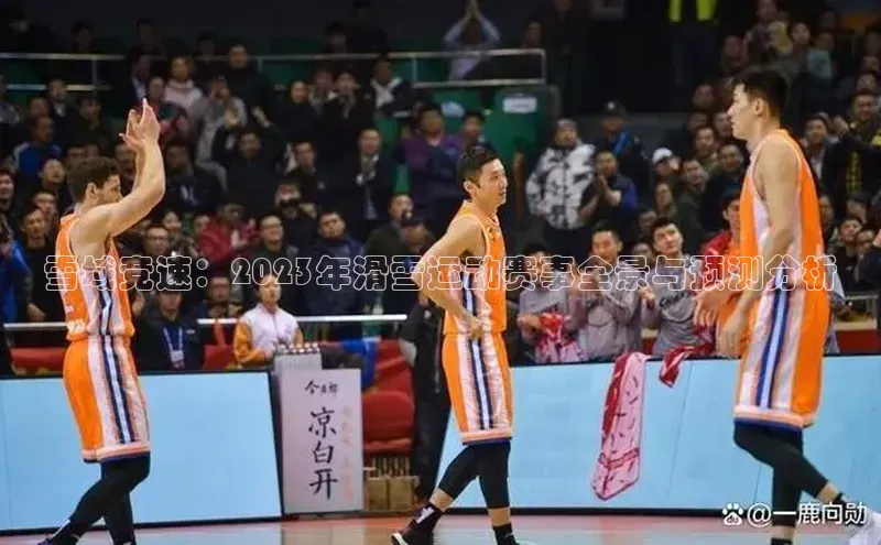 雪域竞速：2023年滑雪运动赛事全景与预测分析